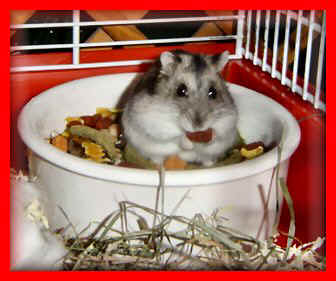 mikeli2.jpg (84008 octets)